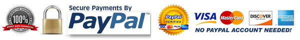 Guaranteed Secure Paypal Payment